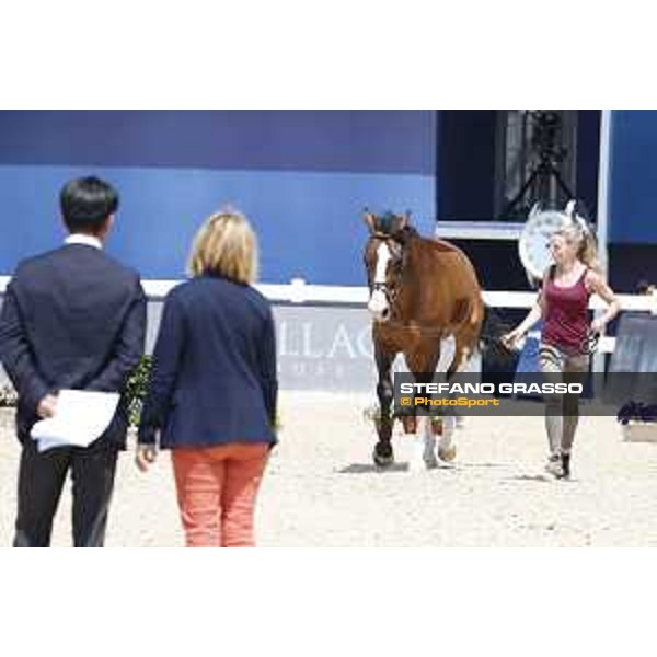 LGCT of Shanghai - Vet check - The Toymaker - Shanghai, - 19 April 2018 - ph.Stefano Grasso/LGCT