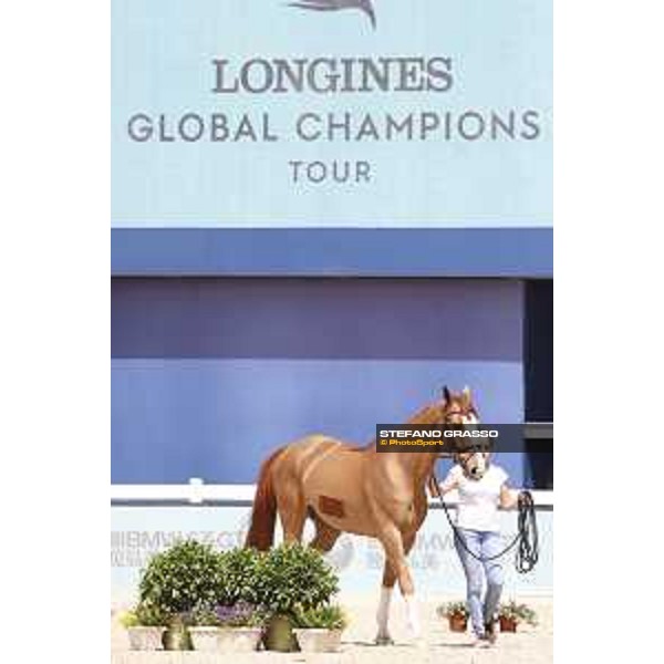 LGCT of Shanghai - Vet check - Celvin - Shanghai, - 19 April 2018 - ph.Stefano Grasso/LGCT