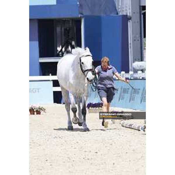 LGCT of Shanghai - Vet check - Chiara 222 - Shanghai, - 19 April 2018 - ph.Stefano Grasso/LGCT