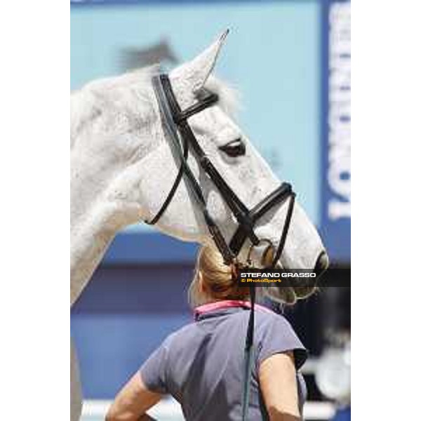 LGCT of Shanghai - Vet check - Chiara 222 - Shanghai, - 19 April 2018 - ph.Stefano Grasso/LGCT