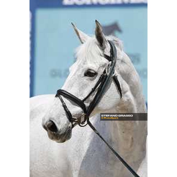 LGCT of Shanghai - Vet check - Chiara 222 - Shanghai, - 19 April 2018 - ph.Stefano Grasso/LGCT