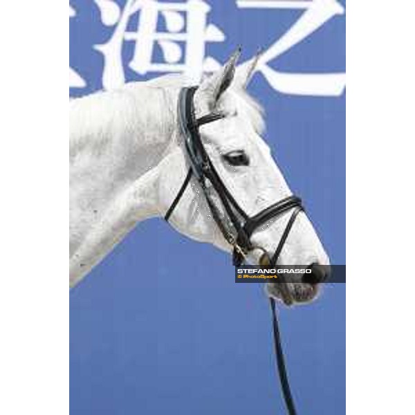 LGCT of Shanghai - Vet check - Chiara 222 - Shanghai, - 19 April 2018 - ph.Stefano Grasso/LGCT