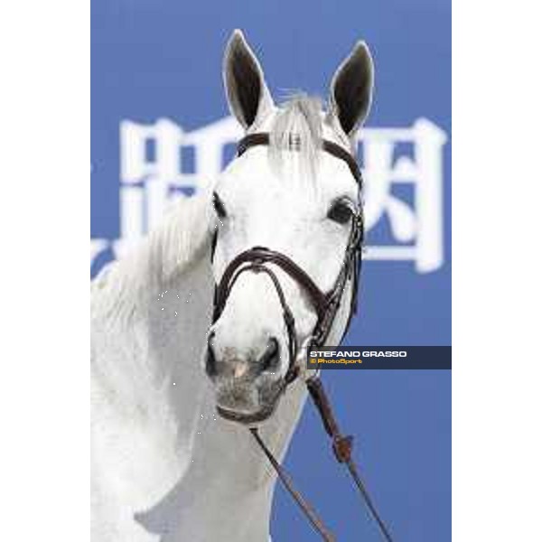 LGCT of Shanghai - Vet check - Chiara 222 - Shanghai, - 19 April 2018 - ph.Stefano Grasso/LGCT