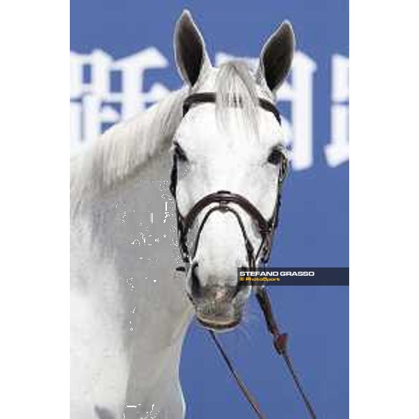 LGCT of Shanghai - Vet check - Chiara 222 - Shanghai, - 19 April 2018 - ph.Stefano Grasso/LGCT