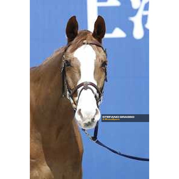 LGCT of Shanghai - Vet check - Viking - Shanghai, - 19 April 2018 - ph.Stefano Grasso/LGCT