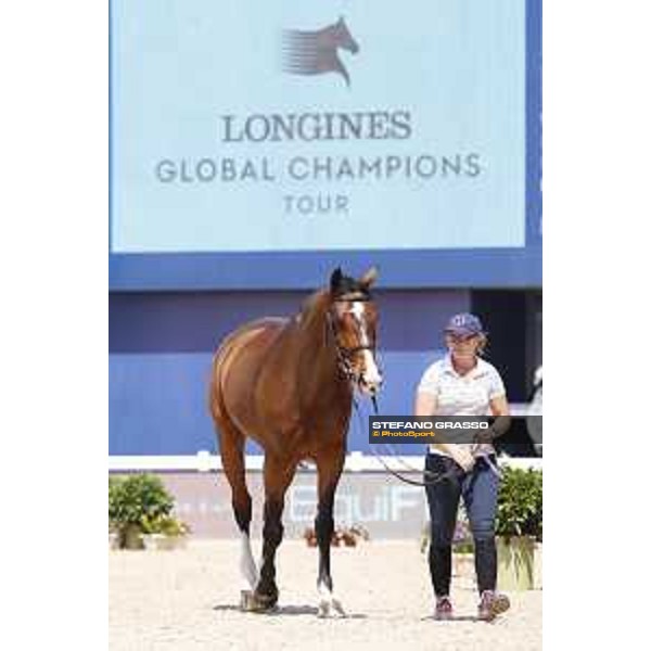 LGCT of Shanghai - Vet check - Heartbreaker Vd Achterhoe - Shanghai, - 19 April 2018 - ph.Stefano Grasso/LGCT