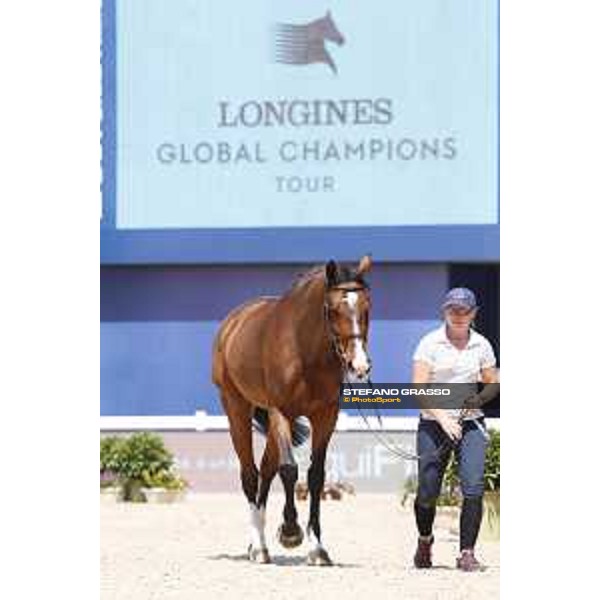 LGCT of Shanghai - Vet check - Heartbreaker Vd Achterhoe - Shanghai, - 19 April 2018 - ph.Stefano Grasso/LGCT