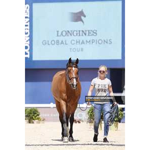 LGCT of Shanghai - Vet check - - Shanghai, - 19 April 2018 - ph.Stefano Grasso/LGCT