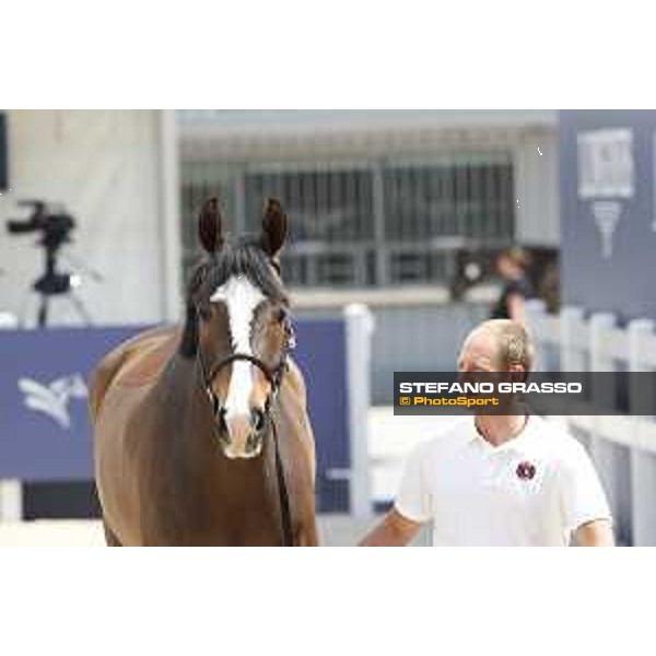 LGCT of Shanghai - Vet check - Hello Shelby - Shanghai, - 19 April 2018 - ph.Stefano Grasso/LGCT