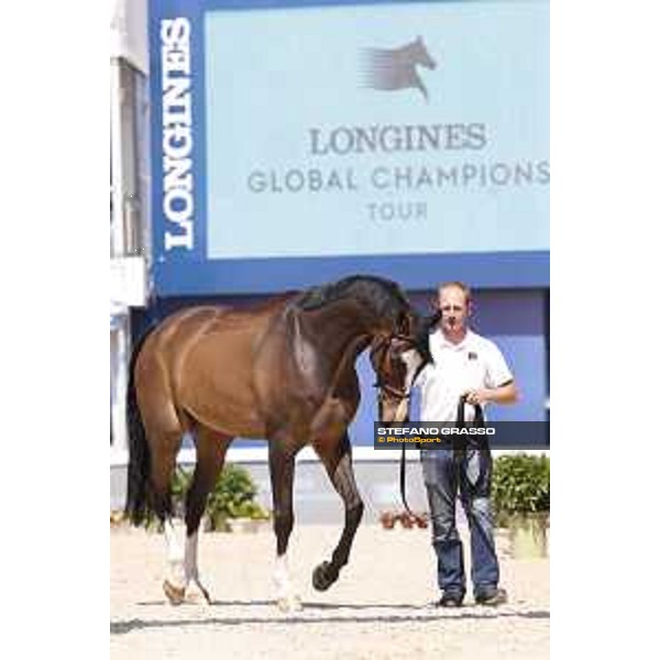LGCT of Shanghai - Vet check - Hello Shelby - Shanghai, - 19 April 2018 - ph.Stefano Grasso/LGCT