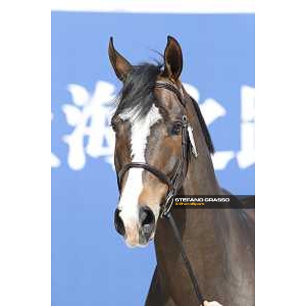 LGCT of Shanghai - Vet check - Hello Shelby - Shanghai, - 19 April 2018 - ph.Stefano Grasso/LGCT
