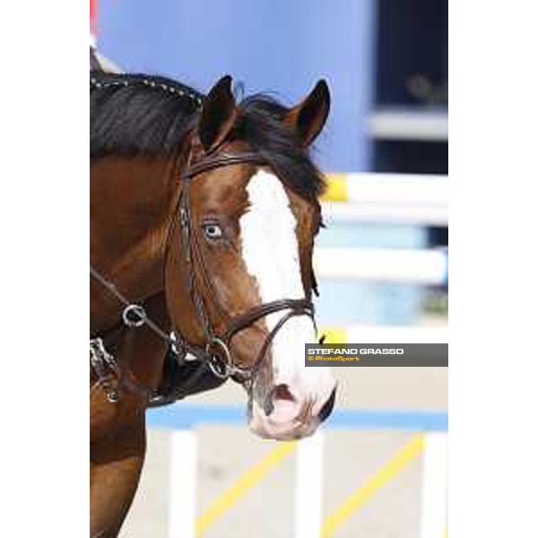 LGCT of Shanghai - Warm up - Limonchello LT - Shanghai, - 19 April 2018 - ph.Stefano Grasso/LGCT
