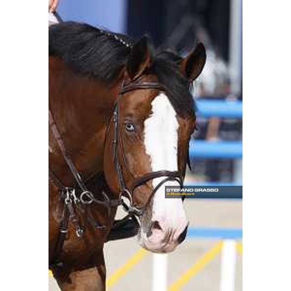 LGCT of Shanghai - Warm up - Limonchello LT - Shanghai, - 19 April 2018 - ph.Stefano Grasso/LGCT