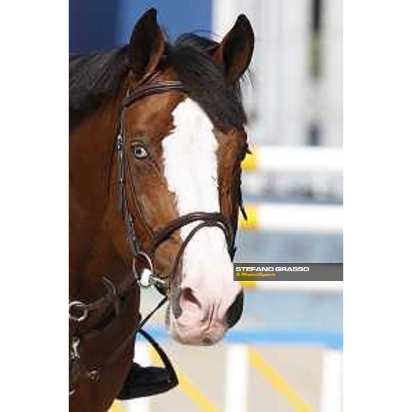 LGCT of Shanghai - Warm up - Limonchello LT - Shanghai, - 19 April 2018 - ph.Stefano Grasso/LGCT