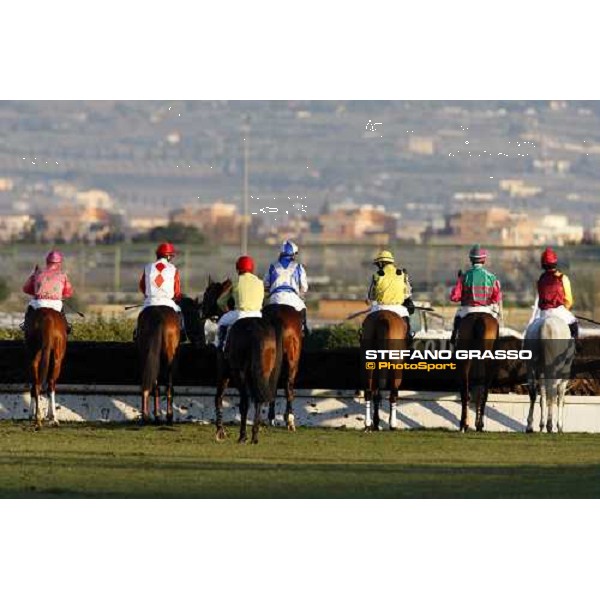 the horses of LVIII Gran Corsa Siepi di Roma before the start Rome Capannelle, 17th february 2008 ph. Stefano Grasso