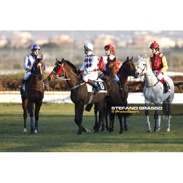 Blu Santillana, Piedmont Sherento and Bruciapelo before the start of LVIII Gran Corsa Siepi di Roma Rome Capannelle, 17th february 2008 ph. Stefano Grasso