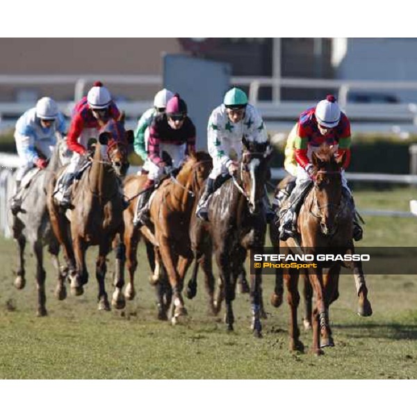 Svezio dell\' Antonia on Red Doctor leads the group during the Premio Ippodromo Pardubice Rome Capannelle, 17th february 2008 ph. Stefano Grasso