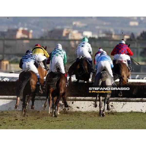 the horses of Premio Ippodromo Pardubice jump a fence Rome Capannelle, 17th february 2008 ph. Stefano Grasso