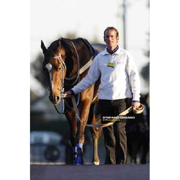 The LVIII Gran Corsa Siepi di Roma. Blu Santillana with his groom before enter in the parade ring Rome Capannelle, 17th february 2008 ph. Stefano Grasso