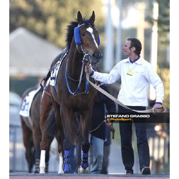 The LVIII Gran Corsa Siepi di Roma. Blu Santillana with his groom enter in the parade ring Rome Capannelle, 17th february 2008 ph. Stefano Grasso