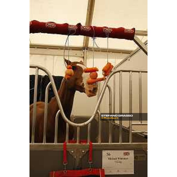 LGCT of Shanghai - Behind the scenes - Viking - Shanghai, - 20 April 2018 - ph.Mario Grassia/LGCT
