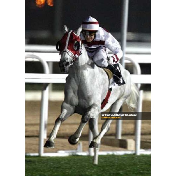 David Bouland on Maleehah wins the Gulf Cup - GCC Bred Pure Arabians - Doha, 27th febr. 2008 ph.Stefano Grasso