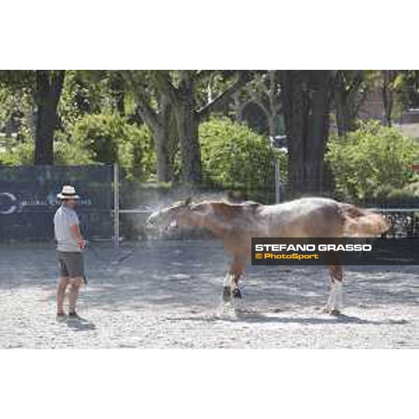LGCT of Madrid - Warm up - - Madrid, Club de Campo de Villa - 3 May 2018 - ph.Stefano Grasso/LGCT