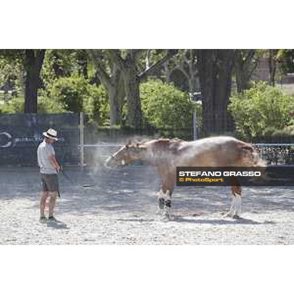 LGCT of Madrid - Warm up - - Madrid, Club de Campo de Villa - 3 May 2018 - ph.Stefano Grasso/LGCT