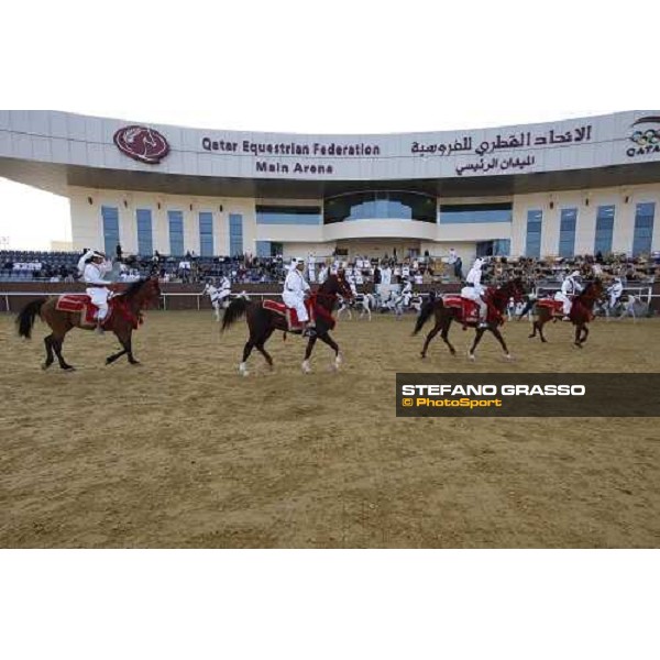 17th Qatar International Arabian Horse Show Doha, 25th february 2008 ph. Stefano Grasso