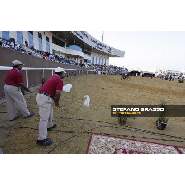 17th Qatar International Arabian Horse Show Doha, 25th february 2008 ph. Stefano Grasso