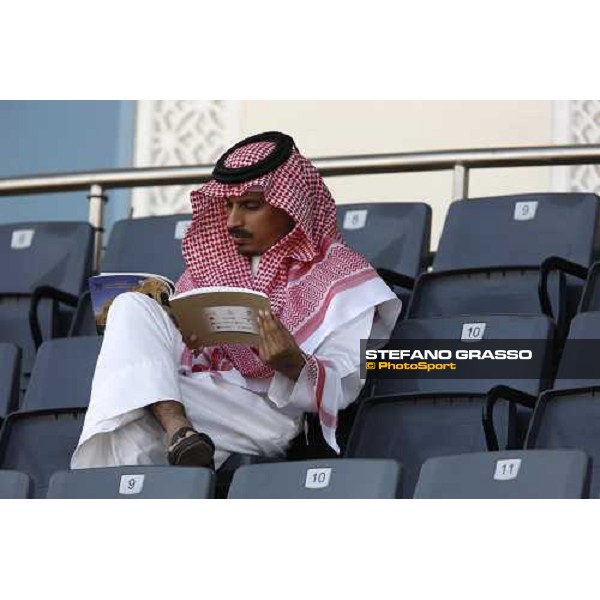 17th Qatar International Arabian Horse Show Doha, 25th february 2008 ph. Stefano Grasso