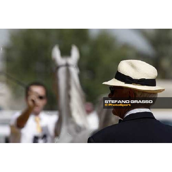 17th Qatar International Arabian Horse Show Doha, 25th february 2008 ph. Stefano Grasso