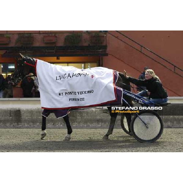Algiers Hall comes back to the stable with his groom after winning the Gran Premio Ponte Vecchio Firenze, 9th march 2008 ph. Stefano Grasso