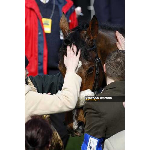 congratulations for Captain Cee Bee winner of the Anglo Irish Bank Supreme Novices\' Hurdle Race Cheltenham The Festival , 1st day 11th march 2008 ph. Stefano Grasso