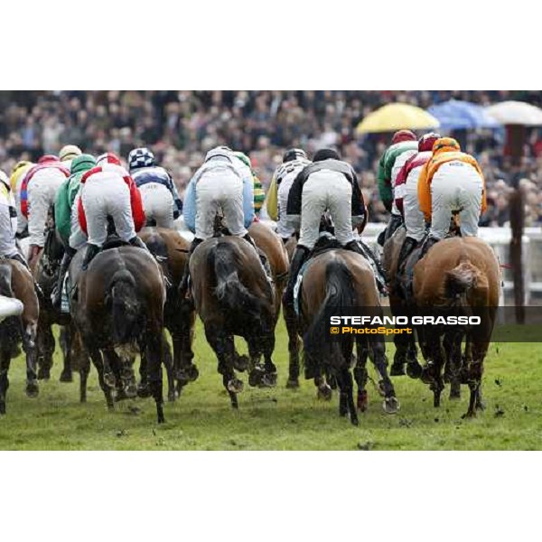 racing Cheltenham The Festival , 1st day 11th march 2008 ph. Stefano Grasso