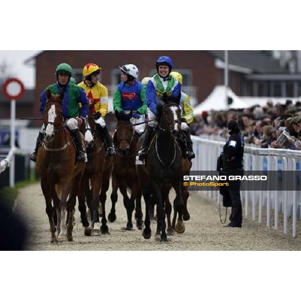 horses come back after the Irish Independent Arkle Challenge Trophy Steeple Chase Cheltenham The Festival , 1st day 11th march 2008 ph. Stefano Grasso