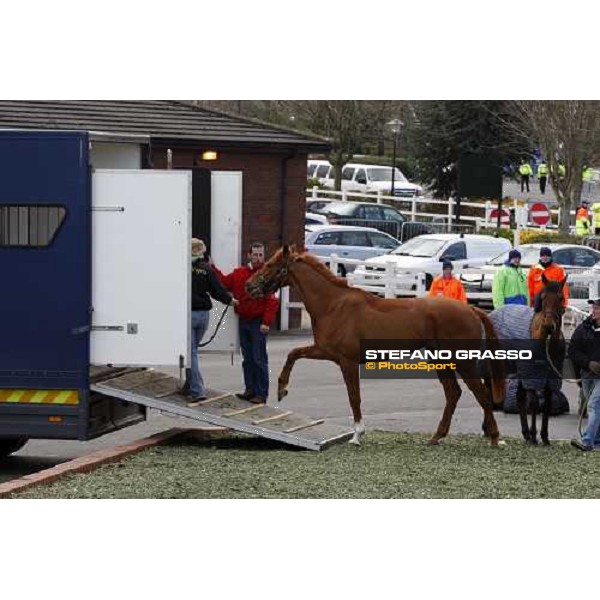 Day two of 2008 Festival abandoned for strong wind Cheltenham, 12th march 2008 ph. Stefano Grasso
