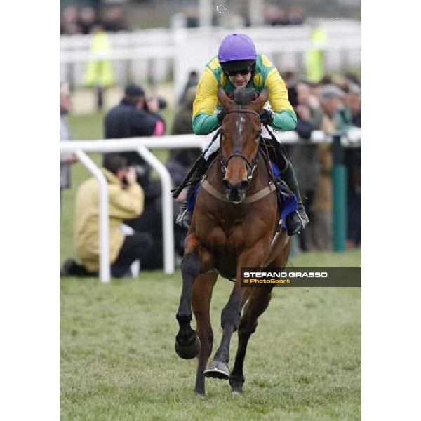 Ruby Walsh on Master Minded flyes alone toward the line and lands The Seasons Holidays Queen Mother Champion Steeple Chase Cheltenham, The Festival 3rd day, 13th march 2008 ph. Stefano Grasso