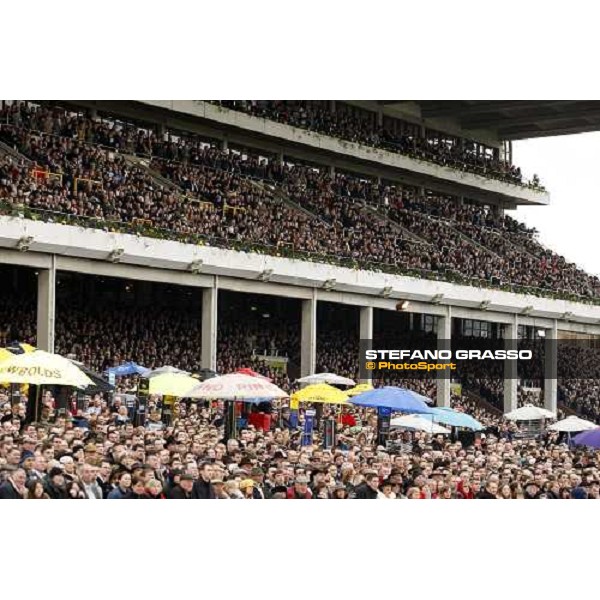 a packed grandstand during the Totesport Cheltenham Gold Cup Cheltenham, 4th day, 14th march 2008 ph. Stefano Grasso