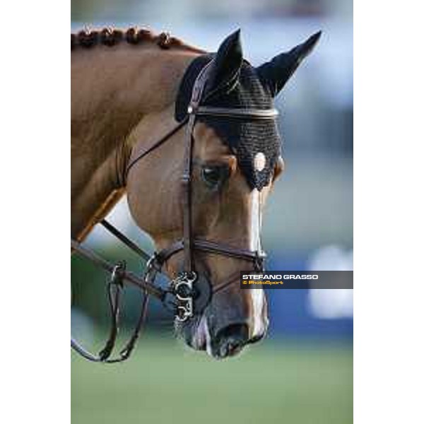 LGCT of Madrid - Class 5 - Jerome Guery (BEL) on Jupiter VG - 4 May 2018 - ph.Stefano Grasso/LGCT
