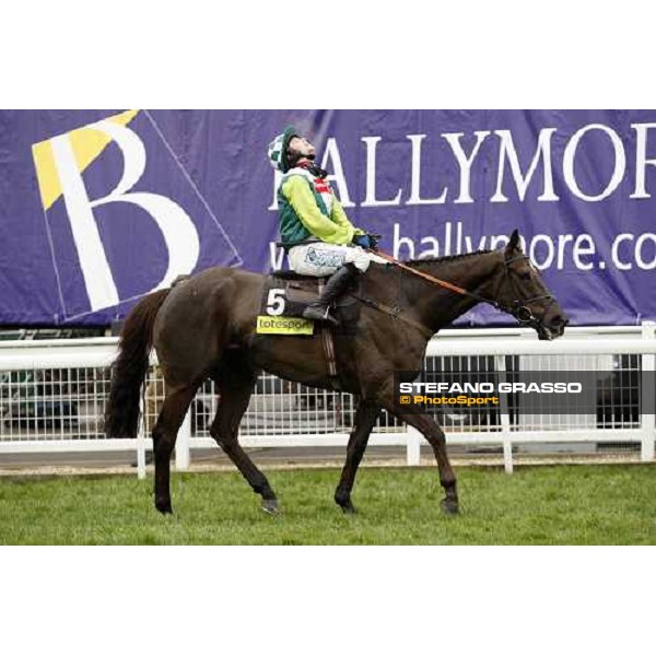 Sam Thomas exults on Denman after winning the Totesport Cheltenham Gold Cup Cheltenham, 4th day, 14th march 2008 ph. Stefano Grasso
