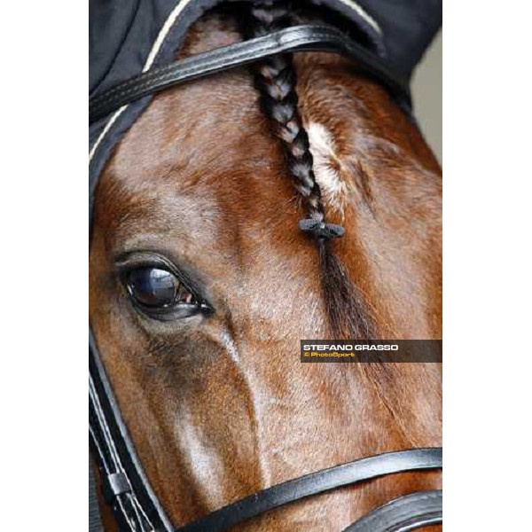 close up for Algiers Hall Firenze Le Mulina, 9th march 2008 ph. Stefano Grasso