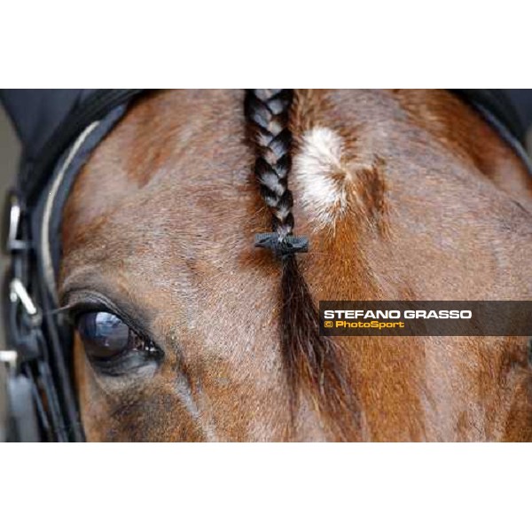 close up for Algiers Hall Firenze Le Mulina, 9th march 2008 ph. Stefano Grasso