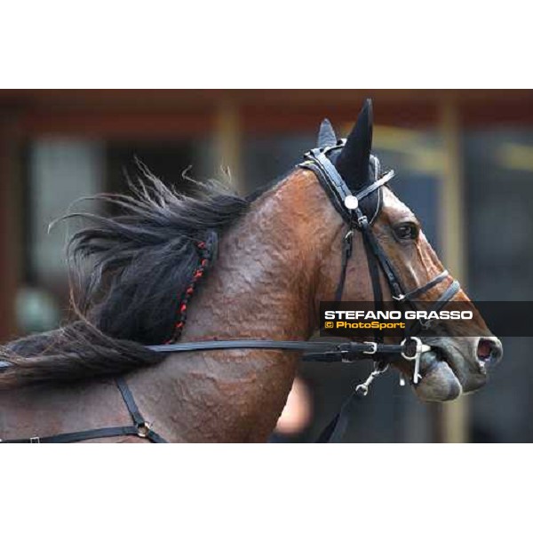 close up for Algiers Hall Firenze Le Mulina, 9th march 2008 ph. Stefano Grasso