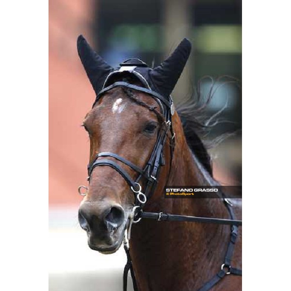 close up for Algiers Hall Firenze Le Mulina, 9th march 2008 ph. Stefano Grasso