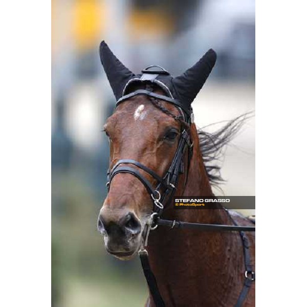 close up for Algiers Hall Firenze Le Mulina, 9th march 2008 ph. Stefano Grasso