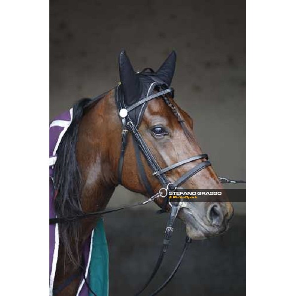 Algiers Hall before the start of the Gran Premio Ponte Vecchio Firenze Le Mulina, 9th march 2008 ph. Stefano Grasso
