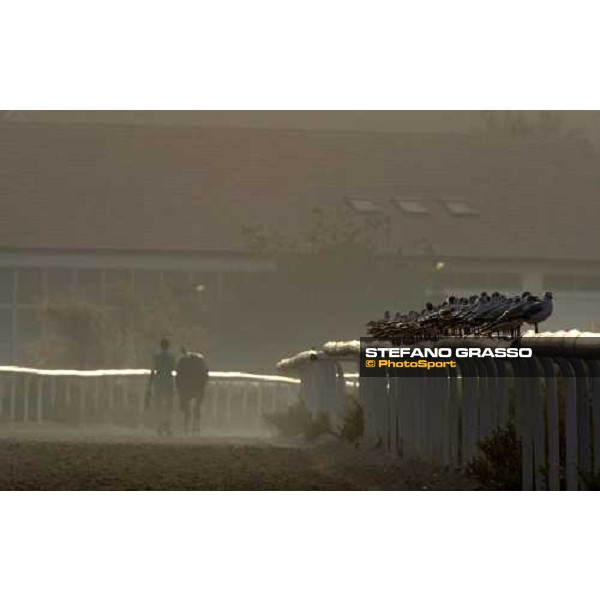 a horse comes back to the stable after morning track works at Nad El Sheba racetrack Dubai, Nad El Sheba, 24th march 2008 ph. Stefano Grasso