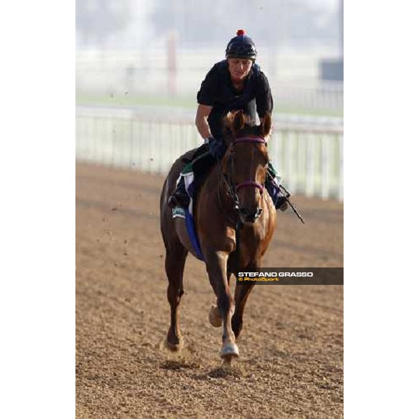 Quijano during morning track works at Nad El Sheba racetrack Dubai, Nad El Sheba, 24th march 2008 ph. Stefano Grasso