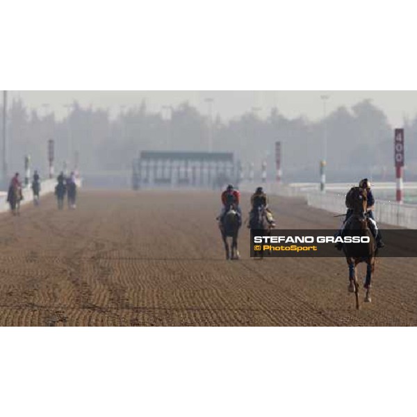 Doctor Dino during morning track works at Nad El Sheba racetrack Dubai, Nad El Sheba, 24th march 2008 ph. Stefano Grasso